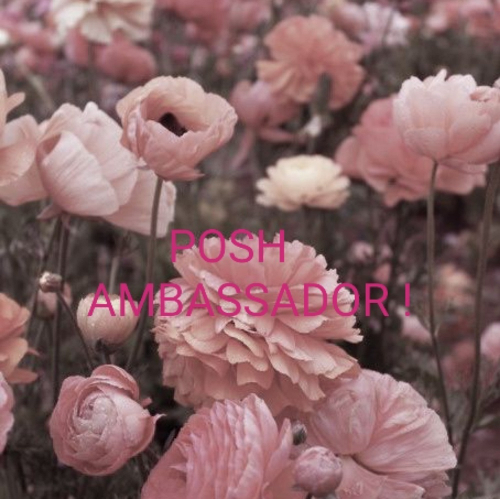 I'm a Posh Ambassador!